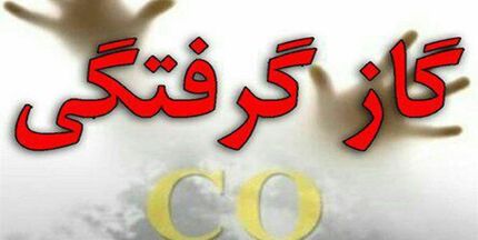 مسمومیت ۱۱ نفر بر اثر گازگرفتگی در اردبیل