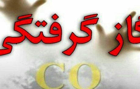 مسمومیت ۱۱ نفر بر اثر گازگرفتگی در اردبیل