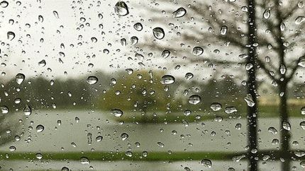 نصف شدن میزان بارندگی در استان قزوین