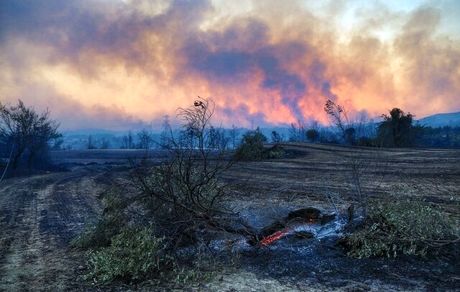 وزیر کشور ترکیه: زود است پ.ک.ک را مسئول آتش‌سوزی‌های اخیر بدانیم