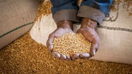 اعلام فطریه سال ۱۴۰۴