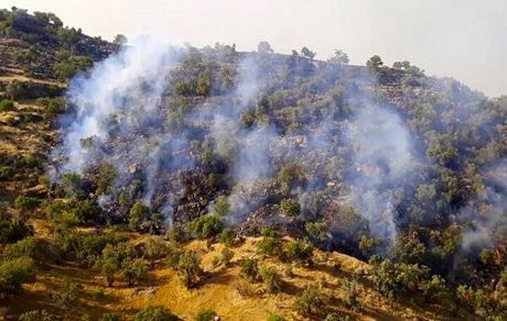 مهار آتش سوزی «کوه سرخ» گچساران