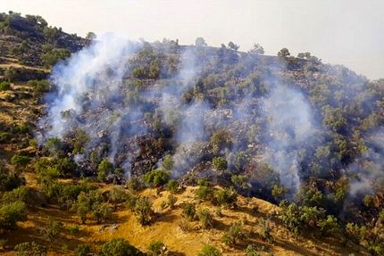 مهار آتش سوزی «کوه سرخ» گچساران