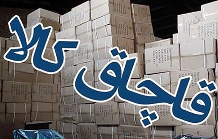 ۲ تن ماهی قاچاق از یک خودرو در سیریک کشف شد