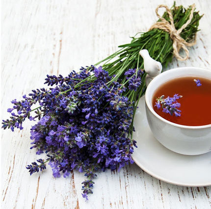 طبیعی آرام باشید