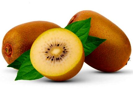 ۳ نوع کیوی جدید در رشت رونمایی شد