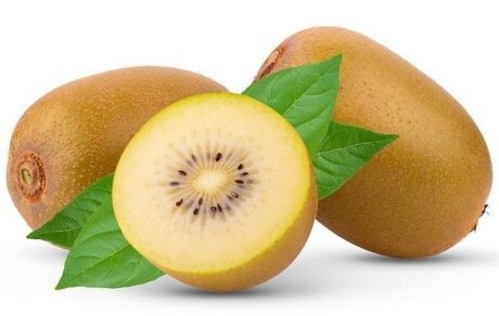 ۳ نوع کیوی جدید در رشت رونمایی شد