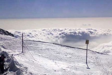 آمار تلفات بهمن در کلکچال تهران