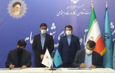 زمینه اشتغال ساکنین و نیروهای بومی مناطق آزاد فراهم شد