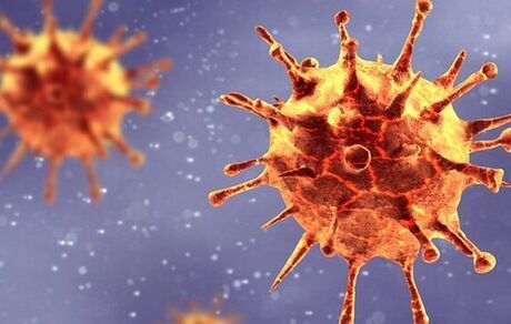 بررسی حضور ویروس‌ کرونا در فاضلاب