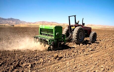 آغاز کشت گندم در زمین‌های کشاورزی بخش رودخانه شهرستان رودان