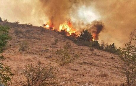 جنگل‌های ارسباران دوباره آتش گرفت