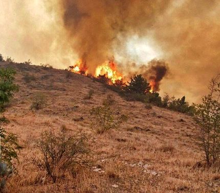 جنگل‌های ارسباران دوباره آتش گرفت