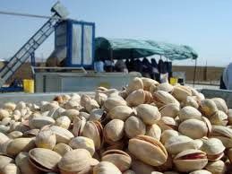 تهاتر ارز صادرات خشکبار با واردات موبایل بالای سیصد دلار صورت می گیرد