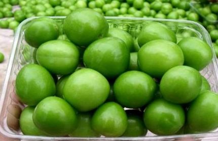 جزئیات گوجه سبز ۴ میلیون تومانی در تجریش / رئیس اتحادیه: از ترکیه قاچاق شده