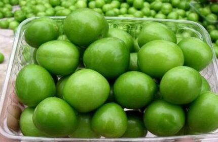 جزئیات گوجه سبز ۴ میلیون تومانی در تجریش / رئیس اتحادیه: از ترکیه قاچاق شده