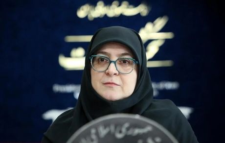 سخنگوی دولت: وظیفه داریم دریاچه ارومیه را حفظ کنیم / زبان ما فارسی است و دغدغه استانداران هم این زبان است