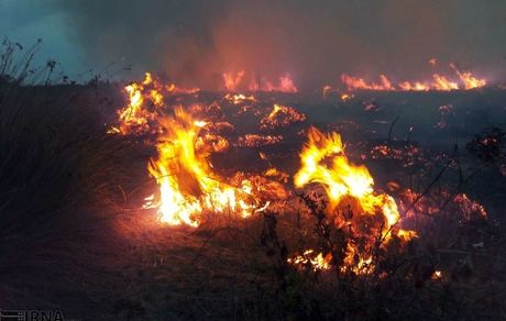 مهار آتش سوزی در اطراف منطقه حفاظت شده خانگرمز