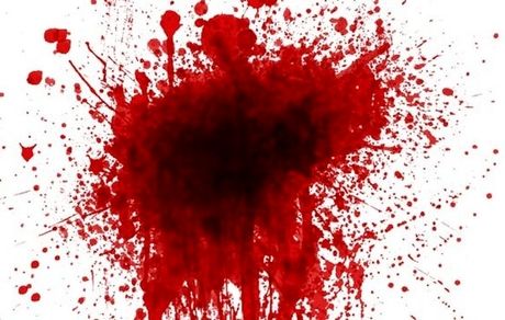 نزاع خونین در ماکو