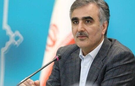 اختصاص بیش از ۱۱ میلیارد دلار ارز از ابتدای سال توسط بانک مرکزی