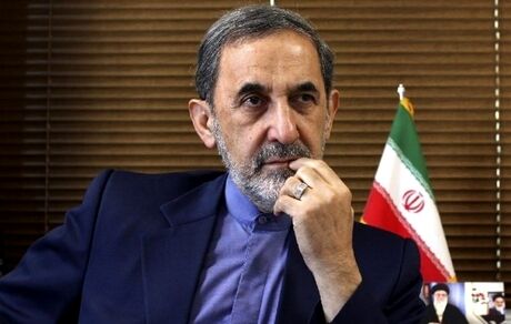 مشاور رهبر انقلاب: مکانیزم ماشه بازی تبلیغاتی است