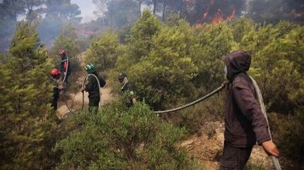 آتش سوزی جنگلی در ۱۶ استان الجزایر 