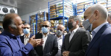 اختصاص ۵۰۰ میلیارد ریال اعتبار برای نوسازی نخلستان‌های استان بوشهر