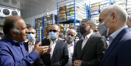 اختصاص ۵۰۰ میلیارد ریال اعتبار برای نوسازی نخلستان‌های استان بوشهر