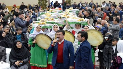 جشنواره کیوی در تالش برگزار شد