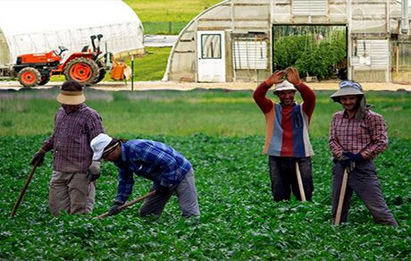 آغاز مرحله اول متناسب‌سازی مستمری مستمری‌بگیران صندوق بیمه اجتماعی روستاییان، کشاورزان و عشایر