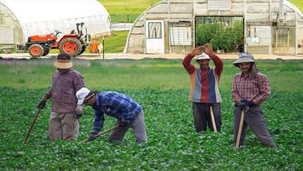 آغاز مرحله اول متناسب‌سازی مستمری مستمری‌بگیران صندوق بیمه اجتماعی روستاییان، کشاورزان و عشایر