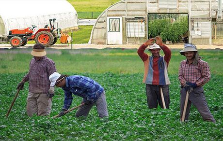 آغاز مرحله اول متناسب‌سازی مستمری مستمری‌بگیران صندوق بیمه اجتماعی روستاییان، کشاورزان و عشایر