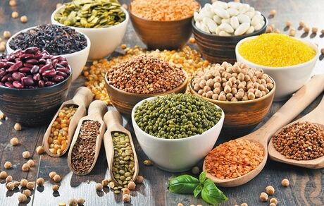 آمار اعجاب آور صادرات غلات و حبوبات از ترکیه