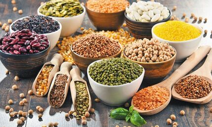 آمار اعجاب آور صادرات غلات و حبوبات از ترکیه
