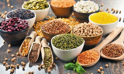 آمار اعجاب آور صادرات غلات و حبوبات از ترکیه