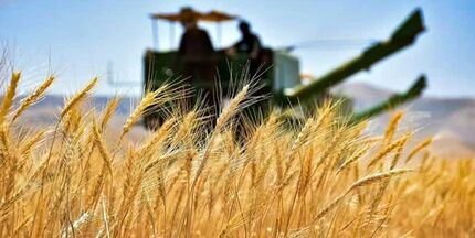 ۱۰ هزار میلیارد تومان اعتبار برای پرداخت مطالبات گندمکاران تامین شد