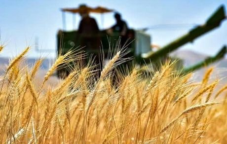 ۱۰ هزار میلیارد تومان اعتبار برای پرداخت مطالبات گندمکاران تامین شد