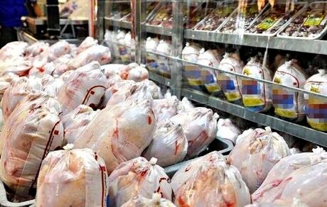 صادرات مرغ با عوارض صفر کلید خورد