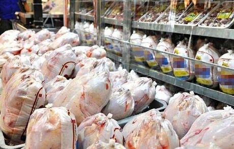 صادرات مرغ با عوارض صفر کلید خورد