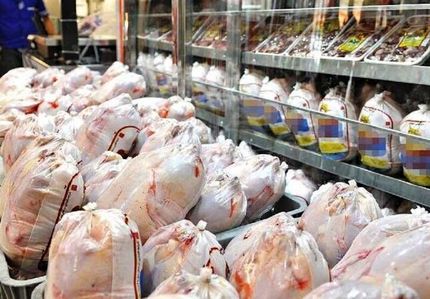 صادرات مرغ با عوارض صفر کلید خورد