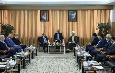 زمینه آزادی زائران اربعین فراهم شود