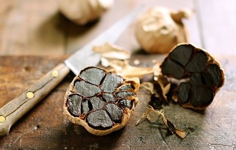 سیر کهنه، ایمنی بدن و سرماخوردگی