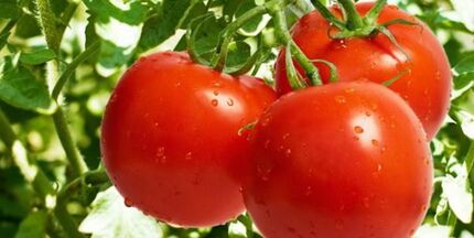 گوجه‌فرنگی تقویت‌کننده سیستم ایمنی بدن