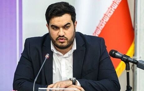 این مالکان خانه‌ها تشویق می‌شوند