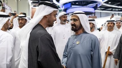 رئیس امارات با حاکم دوبی دیدار کرد