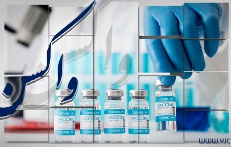   آخرین محموله واکسن خریداری شده وارد کشور شد.