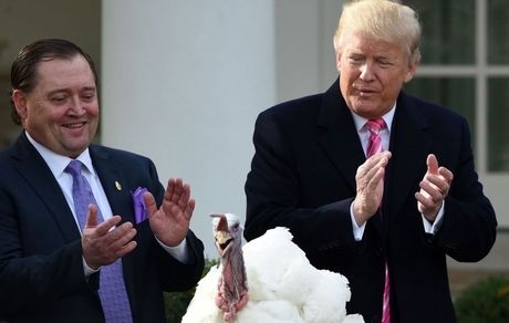 داغ شدن هشتگ «دونالد پوشکی»