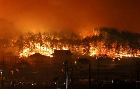 حریق گسترده در کره جنوبی هزاران نفر را از خانه‌هایشان فراری داد