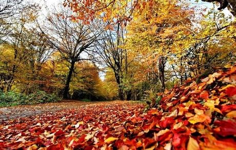 هوای مازندران گرم می‌شود