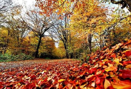 هوای مازندران گرم می‌شود